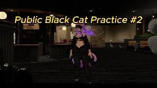 BlackCat Practice