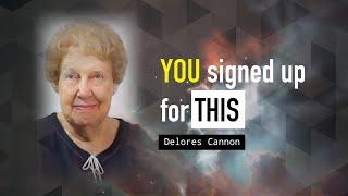 Dolores Cannon | Earth School | Why we are here