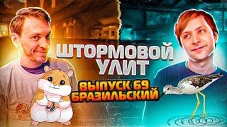 Штормовой Улит №69 - Бразильский