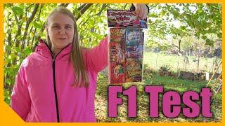 Twisted Kids von Weco im F1 Jugendfeuerwerk Test