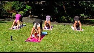 Ahimsa Yoga with Jan Norman Ep. 6 - Sun Salutation