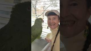 Freedom the Parrot, Karen's Amazon Earrings from The Oasis Sanctuary, Macaw Pix National Geographic!