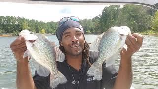 CATFISH method CRAPPIE Bites!!