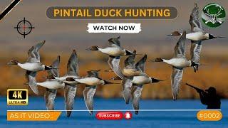 Duck Hunting | Pintail | As It Video # 002