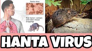 Hantavirus Cause, Sign and Symptoms, Precaution | Hantavirus Pulmonary Syndrome