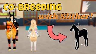 Co-Breeding Horses With Slither! We Had AWESOME Luck! | Wild Horse Islands