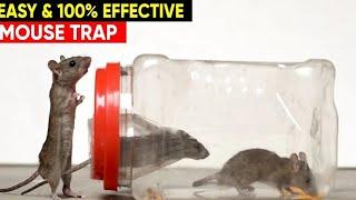 Easy Mouse trap| DIY Mouse trap| Rat trap Homemade|How to make MOUSETRAP @hinafamilyvlogs5377