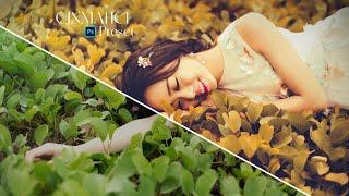 cinematic preset photoshop| green tone preset | #prakashsinhcreator