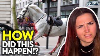 MAYHEM! Out of Control Horses ON THE LOOSE in London 