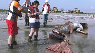 Grabe! Hindi ka MANINIWALA sa NATAGPUAN nila sa BEACH na ito!