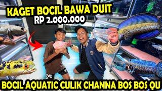 KAGET!!! BOCIL BAWA DUIT 2 JUTA? MAU CULIK KOLEKSI CHANNA BOS BOS QU