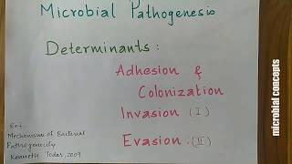 Pathogenic determinants: Adhesion, Colonization & Invasion 1 | Mechanisms of bacterial pathogenicity