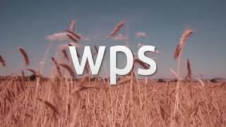 How to install WPS Office 2019 on Linux Mint 21