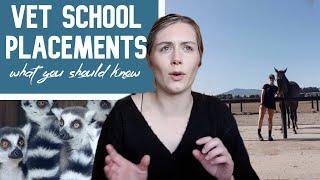 VET SCHOOL PLACEMENTS AND WORK EXPERIENCE - What to expect, what to do and what to wear!