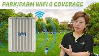 Setting Up an Outdoor WiFi 6 Network in a Park or Large Farm