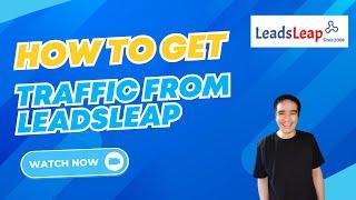 How to Get Traffic from LeadsLeap in 2024