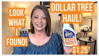 DOLLAR TREE HAUL | WOW! | LOOK WHAT I FOUND | THE DT NEVER DISAPPOINTS #haul #dollartree