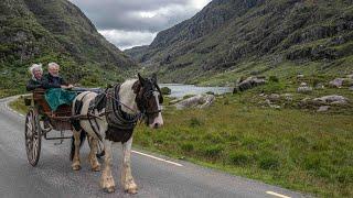 Chapter 4 - Killarney National Park, Ireland