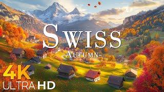 Swiss National Park Autumn 4K - Scenic Relaxation Film With Calming Music - 4K Video Ultra HD