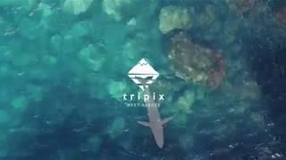 Azores Tripix Intro 2019