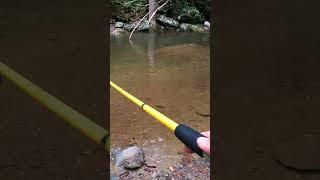 BEST TROUT LURE EVER