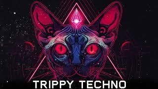 TRIPPY CAT TECHNO MIX 2024 MAY