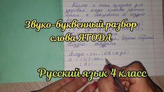 Звуко-буквенный разбор слова ягода