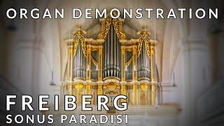  FREIBERG has a 1735 Gottfried Silbermann 32-stop organ (Demonstration)