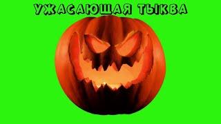 ТЫКВА ХЭЛЛОУИН ФУТАЖ / ТЫКВА на ЗЕЛЕНОМ ФОНЕ / PUMPKIN HALLOWEEN on GREEN SCREEN