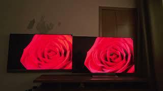 Comparativo TCL C825 VS LG C3 OLED