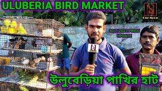 Recent Exotic Bird Price Update at Uluberia Pet Market || Uluberia Bird Market Howrah || One Moon