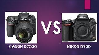 Nikon D7500 vs Nikon D750 | Nikon D7500 | Nikon D750|