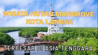 Hutan Mangrove Terbesar di Asia Tenggara di di Kota Langsa, Aceh