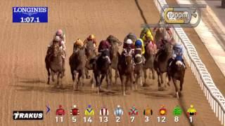 Dubai World Cup Sponsored by Emirates Airline