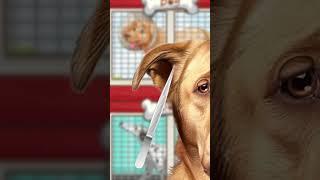 ASMR Removal Dog Ticks & Nose Maggot Infection | Severely Injured Animation #3  #shorts #asmr #dog