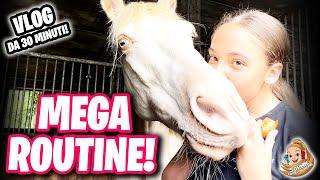 ⭐️ MEGA ROUTINE con PELOTA in MANEGGIO - VLOG da 30 MINUTI! 