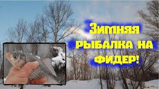 Рыбалка на фидер. Открытие летнего сезона в январе))) Feeder fishing in Siberia.