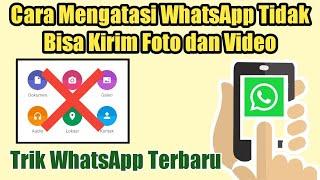 Cara Mengatasi WhatsApp Tidak Bisa Kirim Foto dan Video