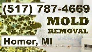 Mold Removal Homer MI (517) 787-4669 | Mold Remediation Homer Michigan