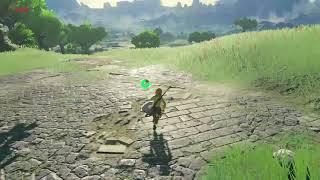[DAY 1] of finding one korok seed everyday until Botw2 comes out