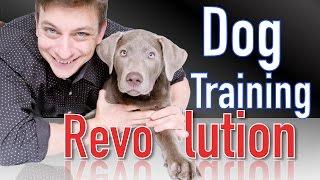 The Future of the Dog Training Revolution