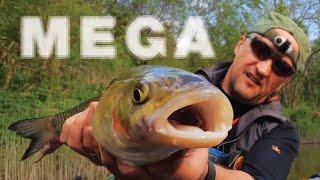 BIG chub fishing adventure with packraft and overnight at river in Latvia.