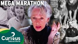 True Brutal Wild Animal Attack Backstories | Mega Marathon | Curious?: Natural World