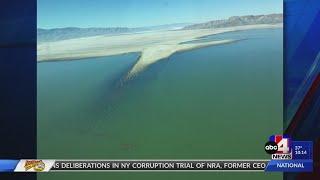 Great Salt Lake's brine shrimp population booms, majorly impacting future of Utah, wildlife, and the