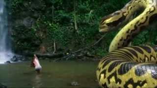 piranhaconda trailer