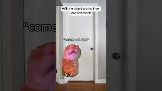 CAT MEMES  Dad is The Best! #catmemes #relatable #shorts