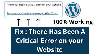 there has been a critical error on your website fix