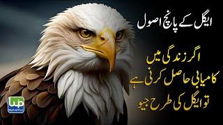 Best Motivational Video With Eagle Mentality | Succeed In Life With Eagle Mentality