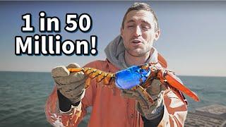 Lobster Fishermans Coolest Catches!