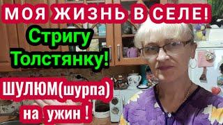 ЖИЗНЬ в СЕЛЕ! МОИ ТОЛСТЯНКИ! ШУЛЮМ на УЖИН!